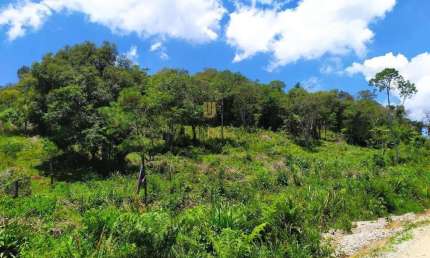 Terreno à venda na Estrada Fermino Siqueira, SN, Matulão, Tijucas do Sul