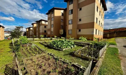 Apartamento com 2 quartos para alugar na Rua Pedro Plantes dos Anjos, 200, Santo Antônio, São José dos Pinhais