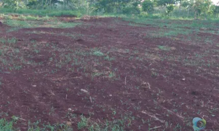 Terreno à venda, 1500 m² USO MISTO - City Ribeirão - Ribeirão Preto/SP