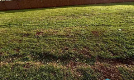 Terreno à venda, 250 m² por r$ 490.000,00 - alphaville - ribeirão preto/sp