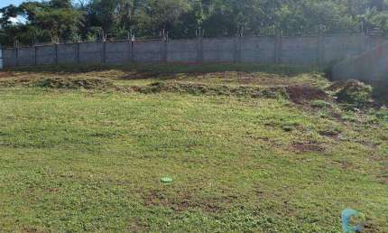 Terreno à venda, 551 m² por R$ 699.990,00 - Alphaville - Ribeirão Preto/SP