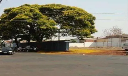 Terreno COMERCIAL à venda, 1230 m² por R$ 1.600.000 - Av. Brasil - Ribeirão Preto/SP