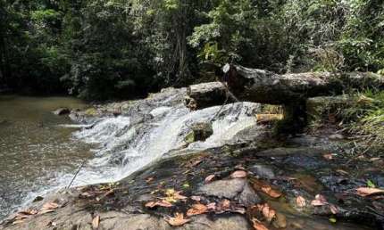 Fazenda à venda na Acuipe Do Meio, 00, Olivença, Ilhéus