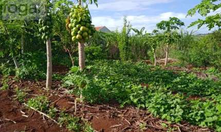 Terreno à venda na Estrada Chácara Três Marias, 000, Zona Rural, Ibiporã
