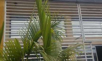 Casa com 1 quarto para alugar na Avenida Robert Koch, 776, Operária, Londrina