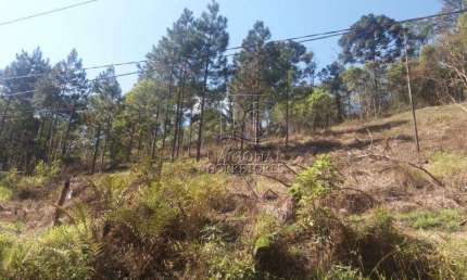 Terreno à venda, 6756 m² por R$ 385.000,00 - Chácara Santa Rita (Ouro Fino Paulista) - Ribeirão Pires/SP