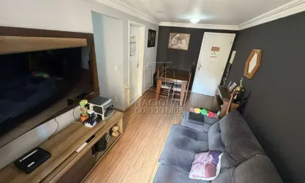 Ótimo apartamento à venda, 2 quartos, 1 vaga, parque erasmo assunção - santo andré/sp