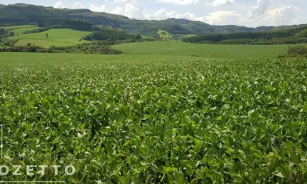 Venda de Fazenda em Piraí do Sul - Oportunidade Imperdível!