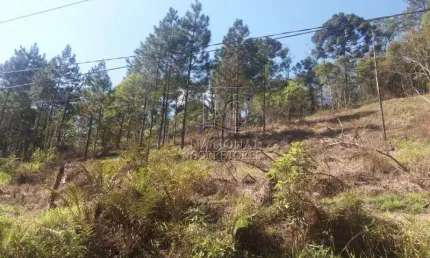 Terreno à venda, 6756 m² por R$ 385.000,00 - Chácara Santa Rita (Ouro Fino Paulista) - Ribeirão Pires/SP