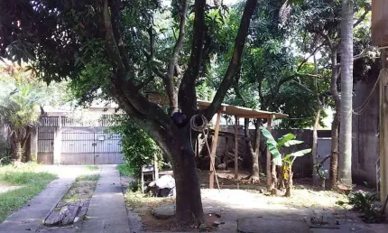 Casa com 2 quartos à venda na Rua Giácomo Saratelli, --, Vila Aurora (Zona Norte), São Paulo