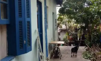 Casa com 5 quartos à venda na Rua Lambari, --, Vila Nova Cachoeirinha, São Paulo