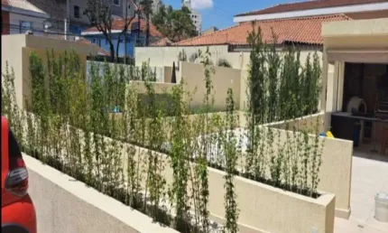 Apartamento no condomínio edificio traco:17 no jardim das laranjeiras com 75m² 3 dormitorios 2 banheiros 1 vaga