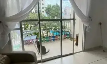 Apartamento no condomínio edifício castel san angelo na nova piraju com 90m² 2 dormitórios 2 banheiros 1 vaga