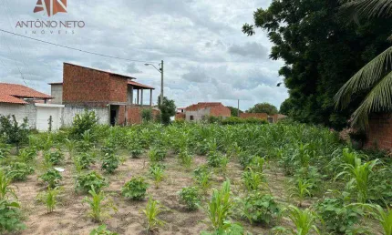 Terreno à venda, 782 m² por R$ 110.000,00 - Fortim - Fortim/CE