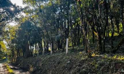 Chácara / sítio à venda na Rua Maria De Lourdes, 000000, Vossoroca, Tijucas do Sul