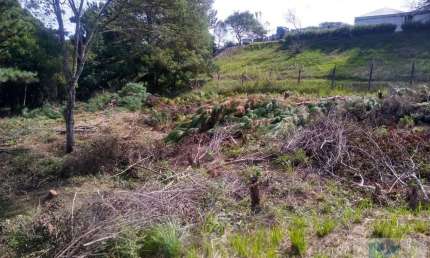 Terreno para Venda em São José dos Pinhais, Inhoaiva