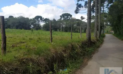 Terreno para Venda em São José dos Pinhais, Contenda, 1 dormitório