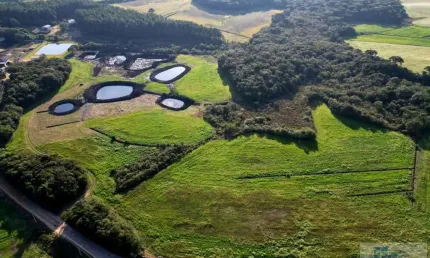 Terreno para Venda em São José dos Pinhais, Campo Largo da Roseira