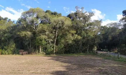 Terreno para Venda em São José dos Pinhais, Campo Largo da Roseira