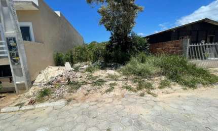Terreno para Venda em Florianópolis, São João do Rio Vermelho