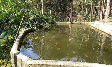 Sítio para Venda em Florianópolis, Vargem do Bom Jesus, 3 dormitórios, 1 suíte, 2 banheiros, 2 vagas