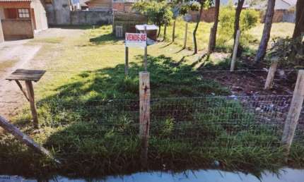 Terreno para Venda em Florianópolis, São João do Rio Vermelho