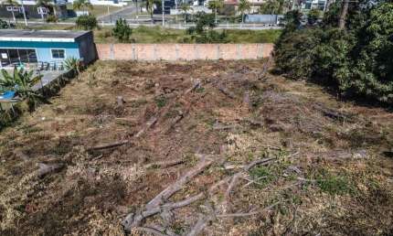 Terreno para Venda em Florianópolis, São João do Rio Vermelho