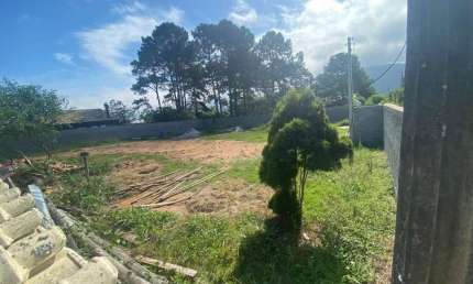 Terreno para Venda em Florianópolis, São João do Rio Vermelho