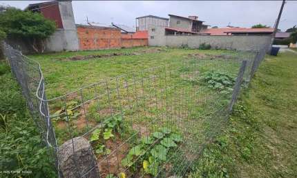 Terreno para Venda em Florianópolis, São João do Rio Vermelho
