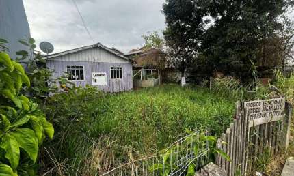 Terreno para Venda em Florianópolis, São João do Rio Vermelho
