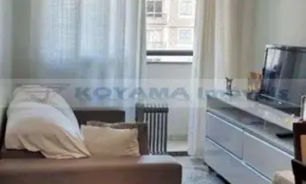 Apartamento com 2 dormitórios à venda, 50m² - vila liviero - são paulo/sp