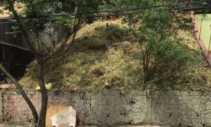 Terreno à venda, 300 m² por R$ 320.000,00 - Jardim Vergueiro (Sacomã) - São Paulo/SP