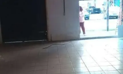 Salão para alugar, 50 m² por R$ 6.400,00/mês - Saúde - São Paulo/SP