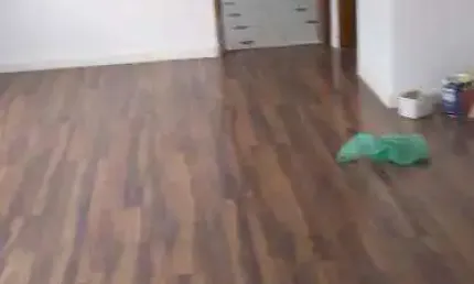 Sobrado com 3 dormitórios à venda por R$ 650.000,00 - Vila Santo Estéfano - São Paulo/SP