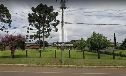 Terreno à venda na Avenida dos Pioneiros, Centro, Carambeí