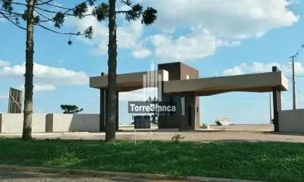 Terreno à venda na Avenida dos Pioneiros, Centro, Carambeí