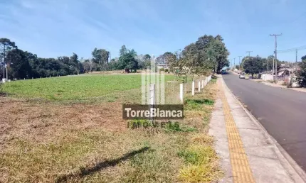 Terreno para locação area urbana , Chapada, Ponta Grossa, PR