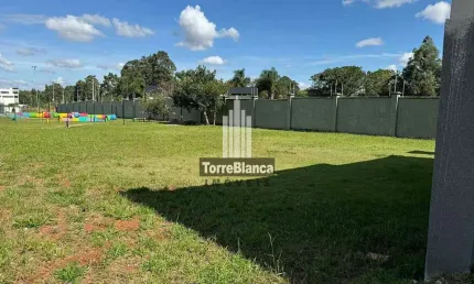 Terreno plano à venda Condomínio Terras Alphavile, Jardim Carvalho, Ponta Grossa, PR