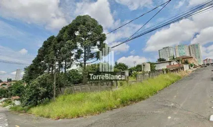 Terreno à venda na Rua Lúcio Alves da Silva, Olarias, Ponta Grossa