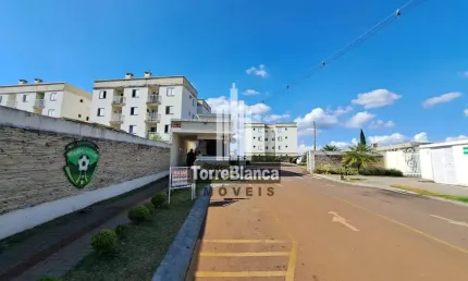 Apartamento à venda, mobílina na cozinha, vila marumbi