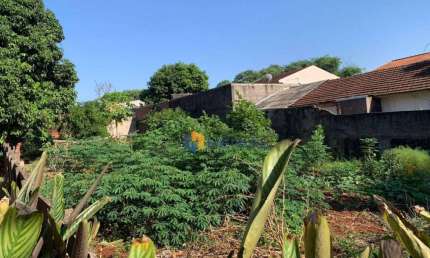 Terreno à venda, 487 m² por R$ 458.000,00 - Vila Morangueira - Maringá/PR