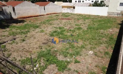 Terreno à venda, 1072 m² por R$ 1.350.000 - Vila Esperança - Maringá/PR