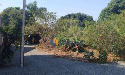 Terreno à venda, 2500 m² por R$ 2.630.000,00 - Jardim Alvorada - Maringá/PR