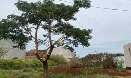 Terreno à venda, 480 m² por R$ 510.000,00 - Jardim Espanha - Maringá/PR