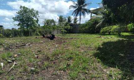Terreno de 3000m² à venda, localizado em Chã de Onça, Paudalho - Pernambuco.