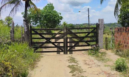 Terreno de 5.000m² à venda, com desmembramento de 60 lotes, localizado em Paudalho - Pernambuco.