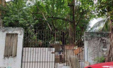 Terreno Comercial ou Residencial, com 354m², localizado em Piedade, Jaboatão dos Guararapes - Pernambuco.