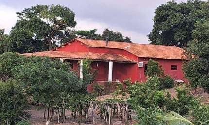 Chácara de 1 hectares e 200m, com casa principal, localizada em Sairé - Pernambuco.