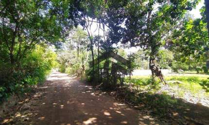 Terreno à venda na Estrada da Peroba, 231, Aldeia dos Camarás, Camaragibe