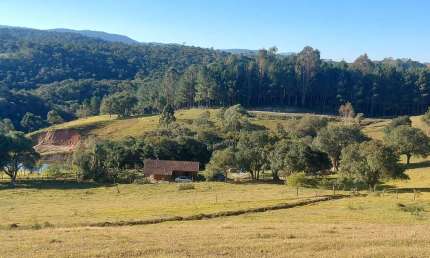 Sítio / Chácara para Venda em Bocaiúva do Sul, CABEÇA D´ANTA